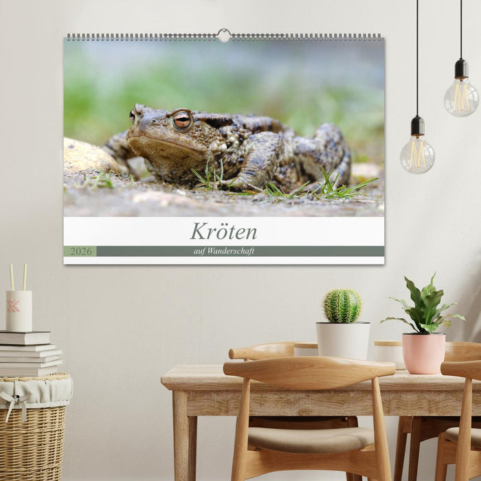 Kröten auf Wanderschaft (CALVENDO Wandkalender 2026)