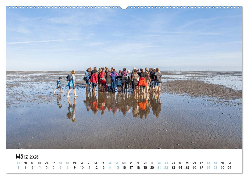 Lieblingsinsel Spiekeroog (CALVENDO Wandkalender 2026)