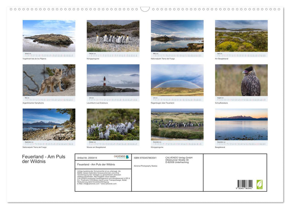 Feuerland - Am Puls der Wildnis (CALVENDO Wandkalender 2026)