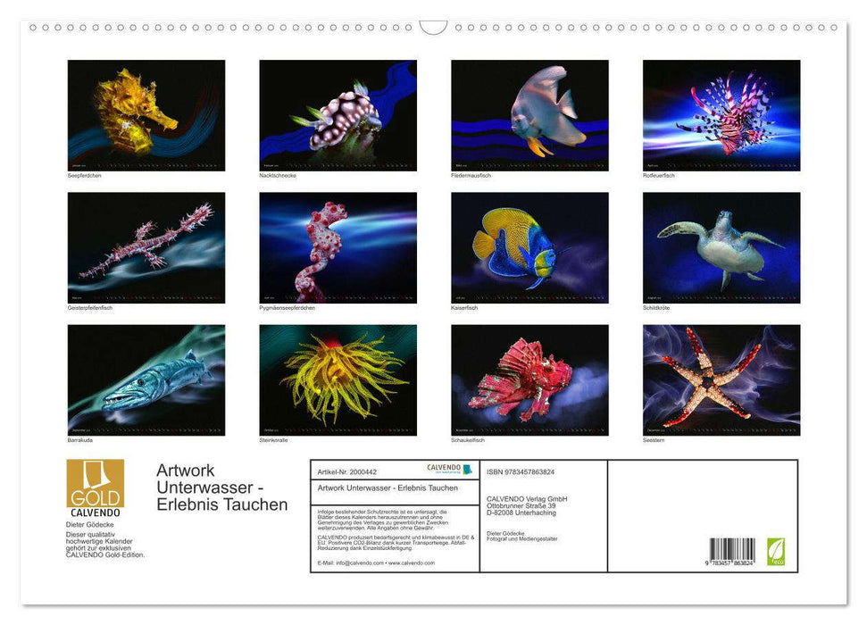 Artwork Unterwasser - Erlebnis Tauchen (CALVENDO Wandkalender 2026)
