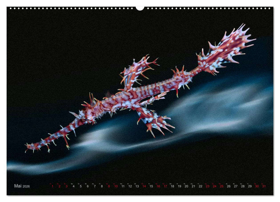 Artwork Unterwasser - Erlebnis Tauchen (CALVENDO Wandkalender 2026)