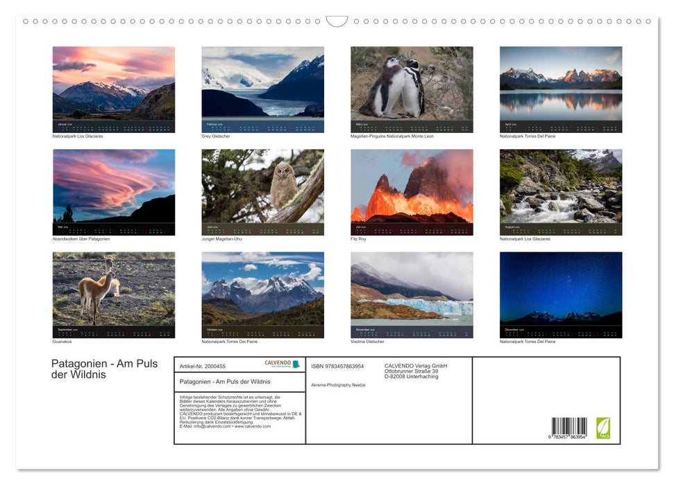 Patagonien - Am Puls der Wildnis (CALVENDO Wandkalender 2026)