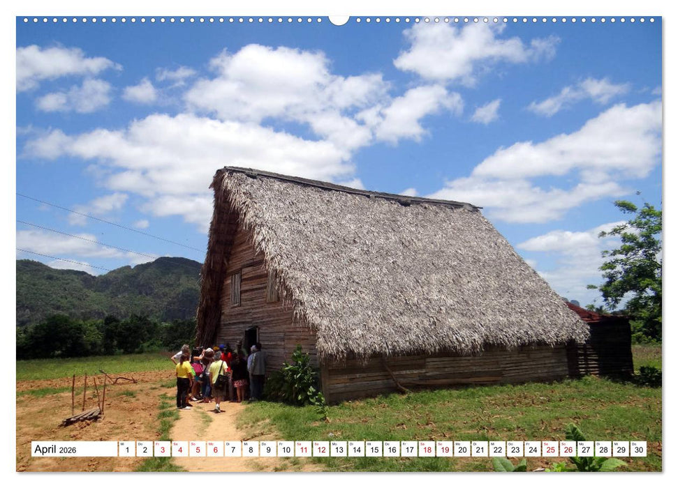 Echte Havannas - Zigarren "Made in Cuba" (CALVENDO Wandkalender 2026)