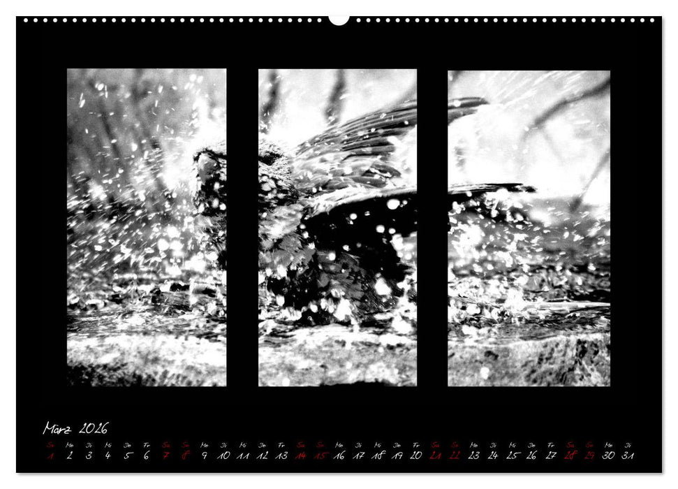 Die Kunst der Natur - Dreifach Stilvoll (CALVENDO Wandkalender 2026)
