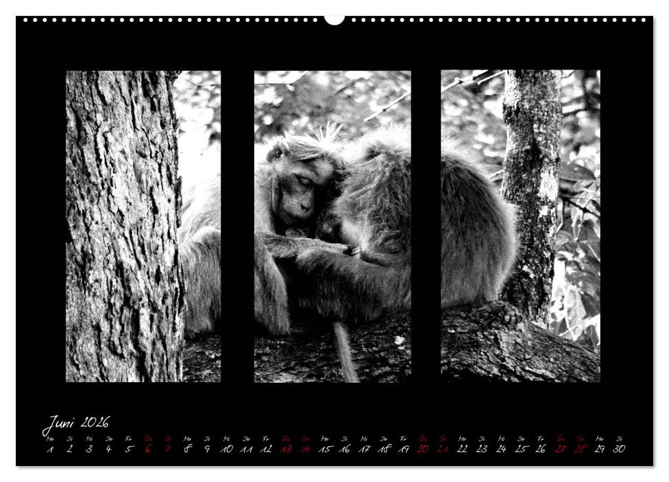 Die Kunst der Natur - Dreifach Stilvoll (CALVENDO Wandkalender 2026)