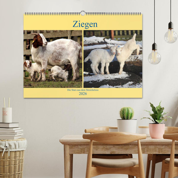 Ziegen - Die Stars aus dem Streichelzoo (CALVENDO Wandkalender 2026)