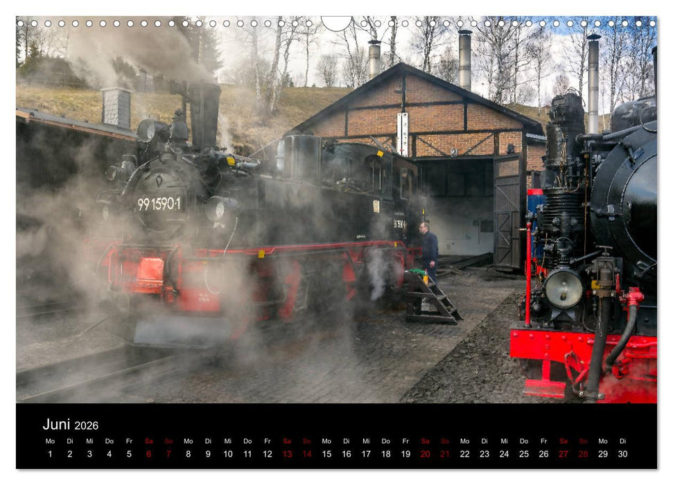 Dampf im Pressnitztal (CALVENDO Wandkalender 2026)
