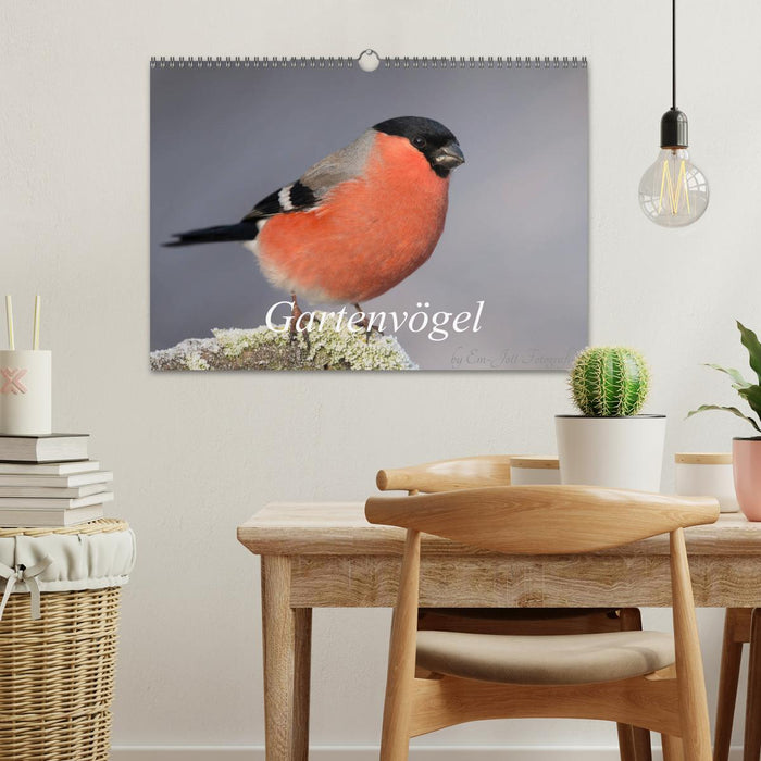 Vögel aus dem Garten (CALVENDO Wandkalender 2026)
