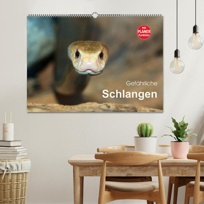 Gefährliche Schlangen (CALVENDO Wandkalender 2026)