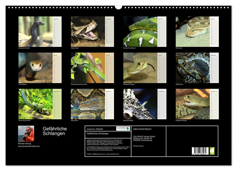 Gefährliche Schlangen (CALVENDO Wandkalender 2026)