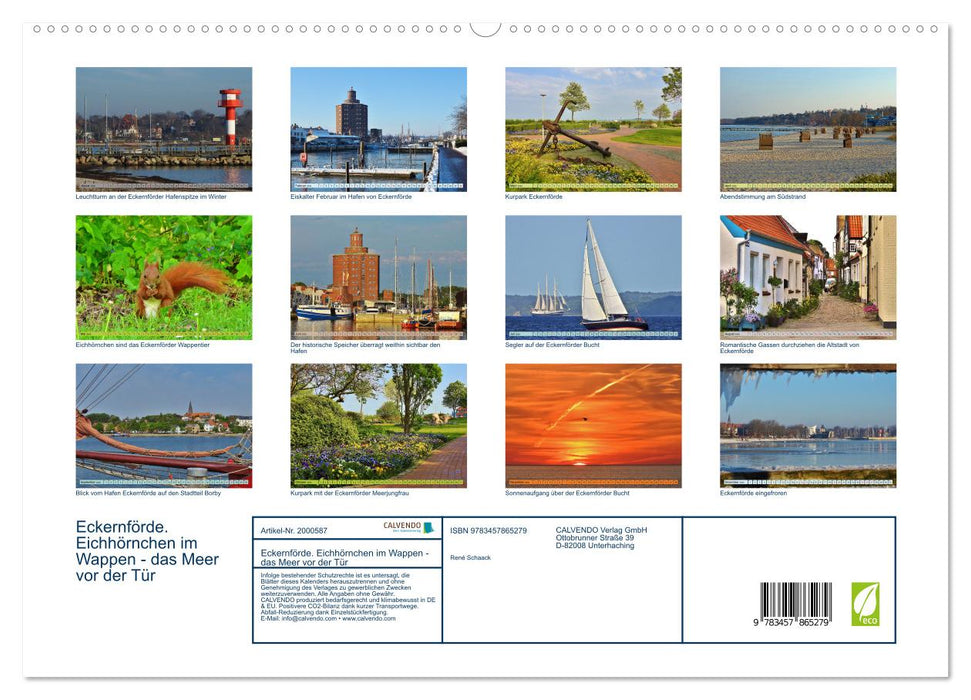 Eckernförde. Eichhörnchen im Wappen - das Meer vor der Tür (CALVENDO Premium Wandkalender 2026)