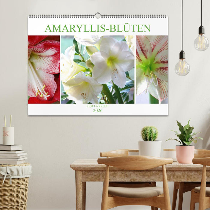 Amaryllis-Blüten (CALVENDO Wandkalender 2026)