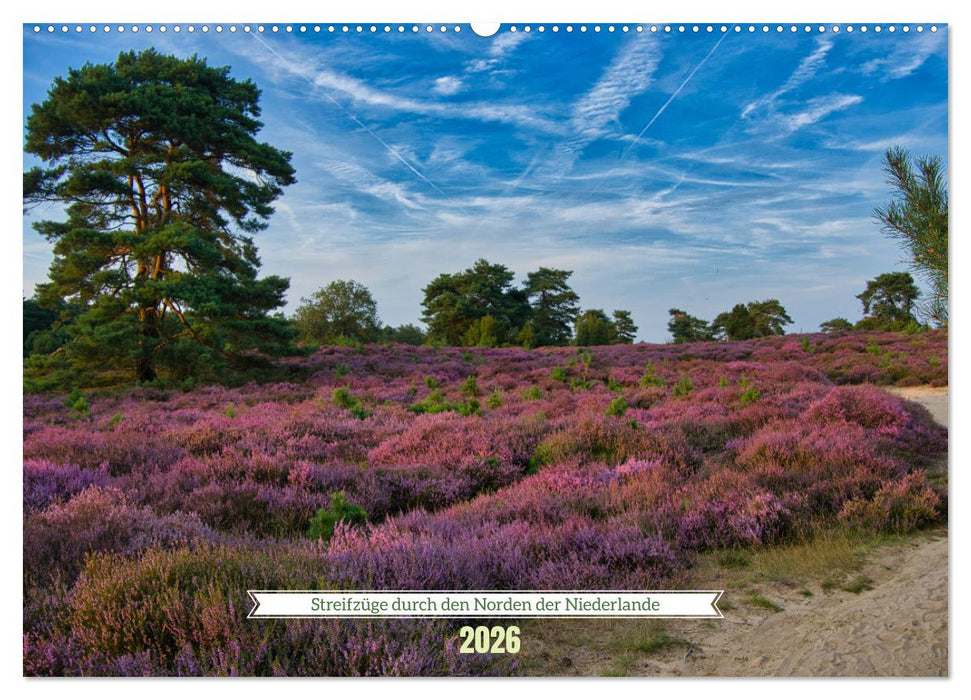Streifzüge durch den Norden der Niederlande (CALVENDO Wandkalender 2026)