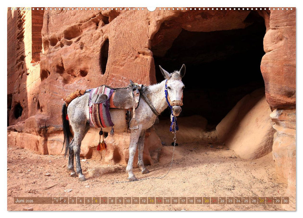 Jordanien - Ein Land der Superlative (CALVENDO Wandkalender 2026)