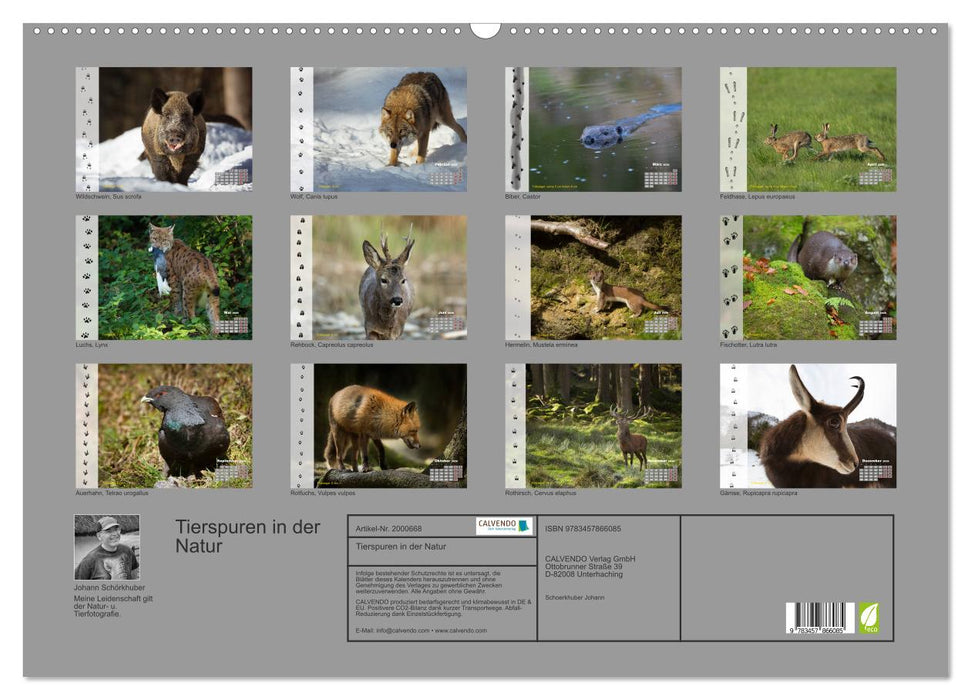 Tierspuren in der Natur (CALVENDO Wandkalender 2026)