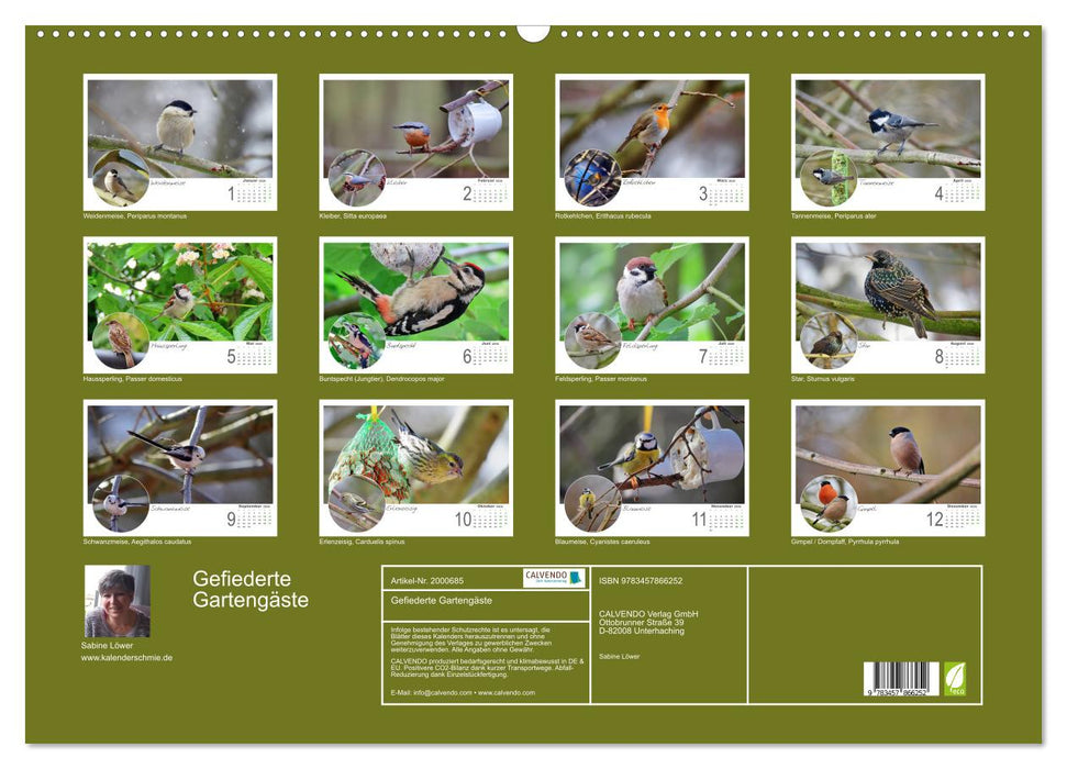 Gefiederte Gartengäste (CALVENDO Wandkalender 2026)