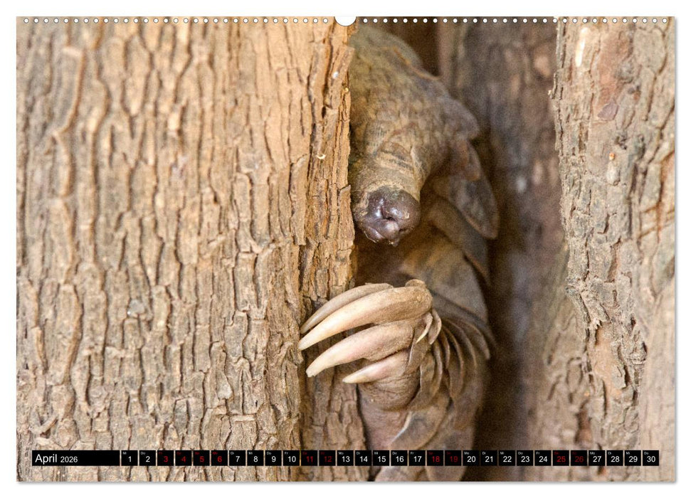 Faszination Simbabwe (CALVENDO Wandkalender 2026)