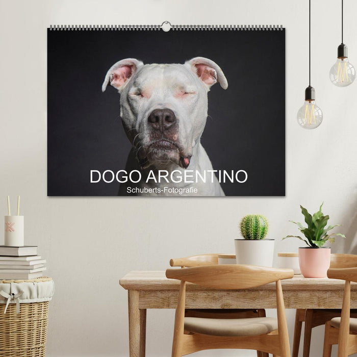 DOGO ARGENTINO (CALVENDO Wandkalender 2026)