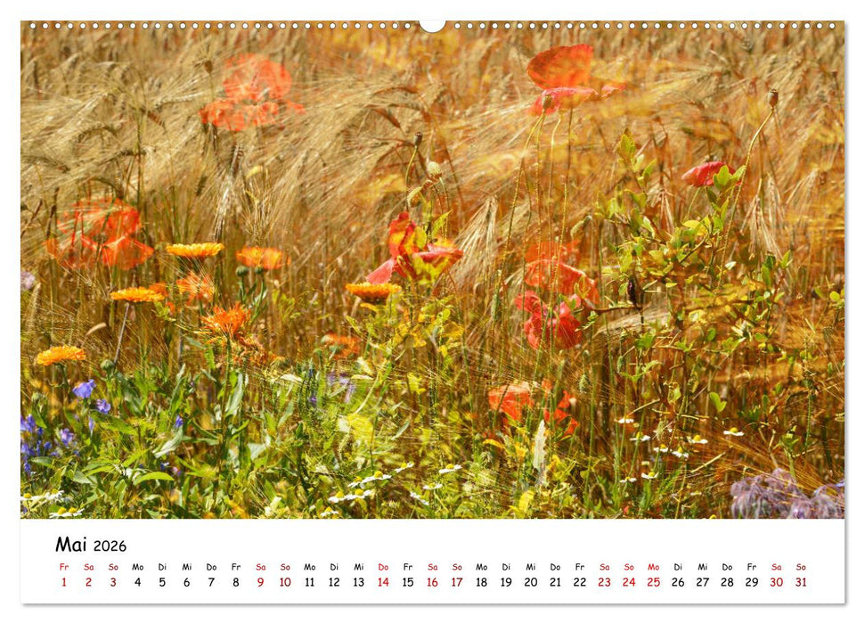 Pinneberger Art (CALVENDO Wandkalender 2026)