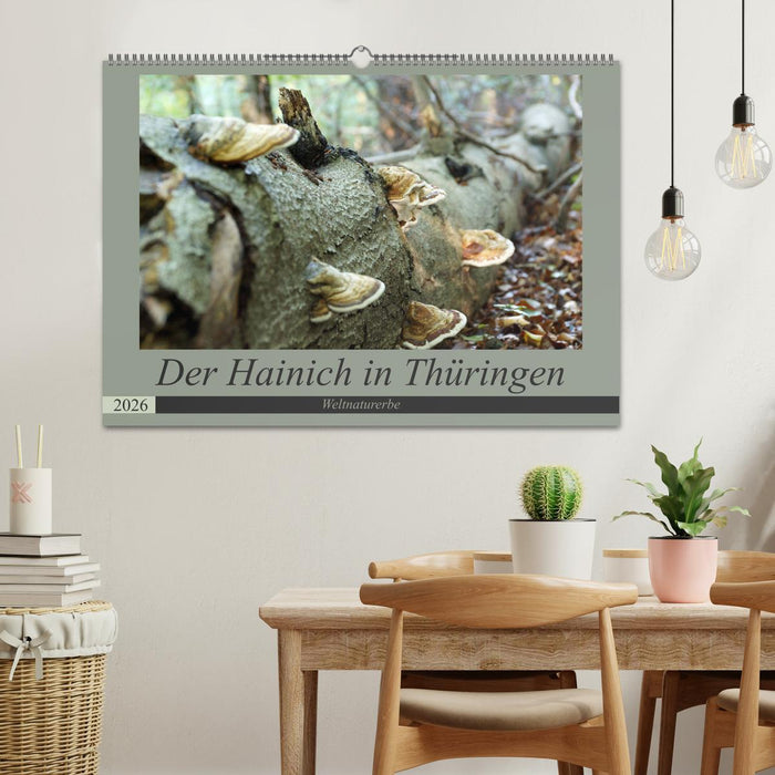 Der Hainich in Thüringen - Weltnaturerbe (CALVENDO Wandkalender 2026)