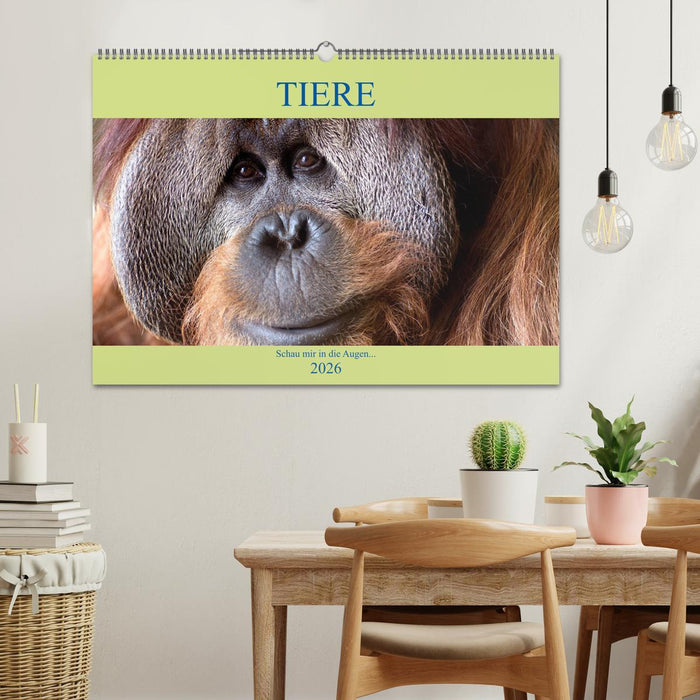 Tiere Schau mir in die Augen (CALVENDO Wandkalender 2026)