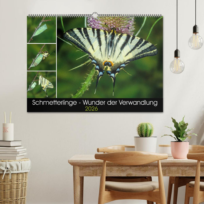 Schmetterlinge - Wunder der Verwandlung (CALVENDO Wandkalender 2026)
