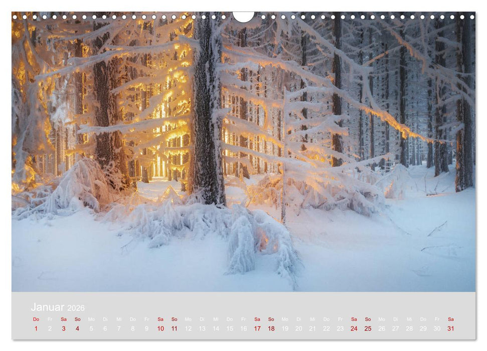 Im Lichtglanz der Jahreszeiten (CALVENDO Wandkalender 2026)