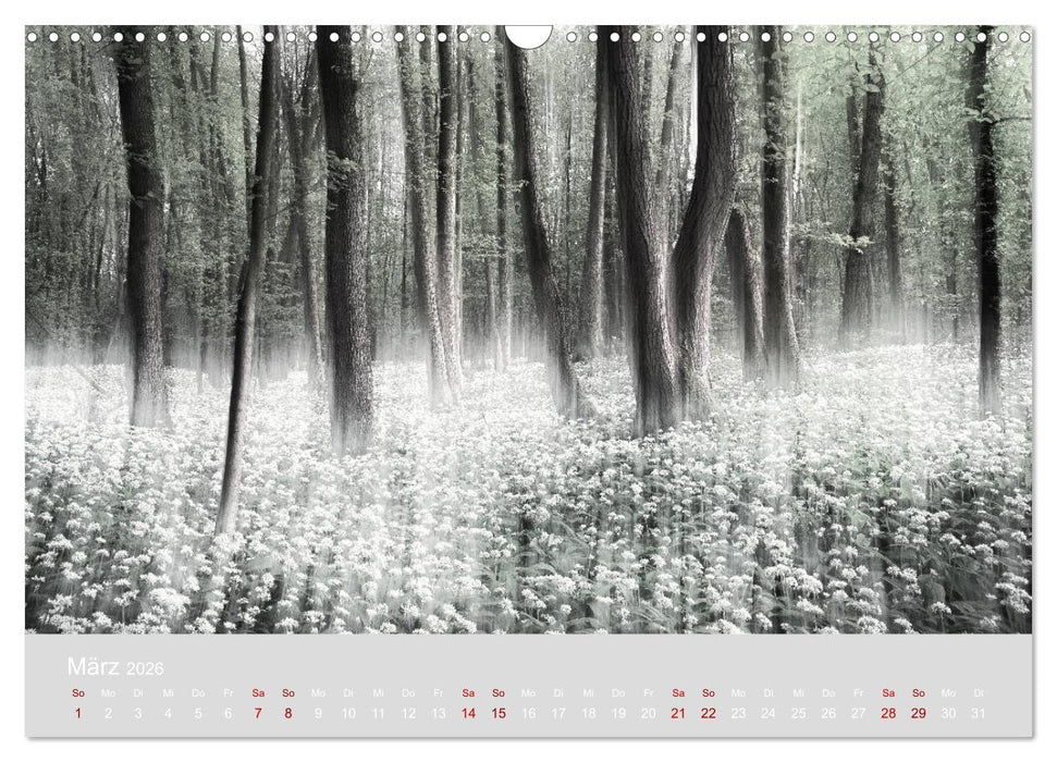 Im Lichtglanz der Jahreszeiten (CALVENDO Wandkalender 2026)