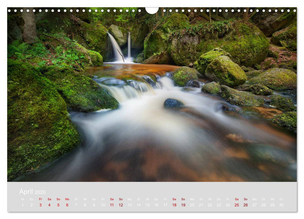 Im Lichtglanz der Jahreszeiten (CALVENDO Wandkalender 2026)