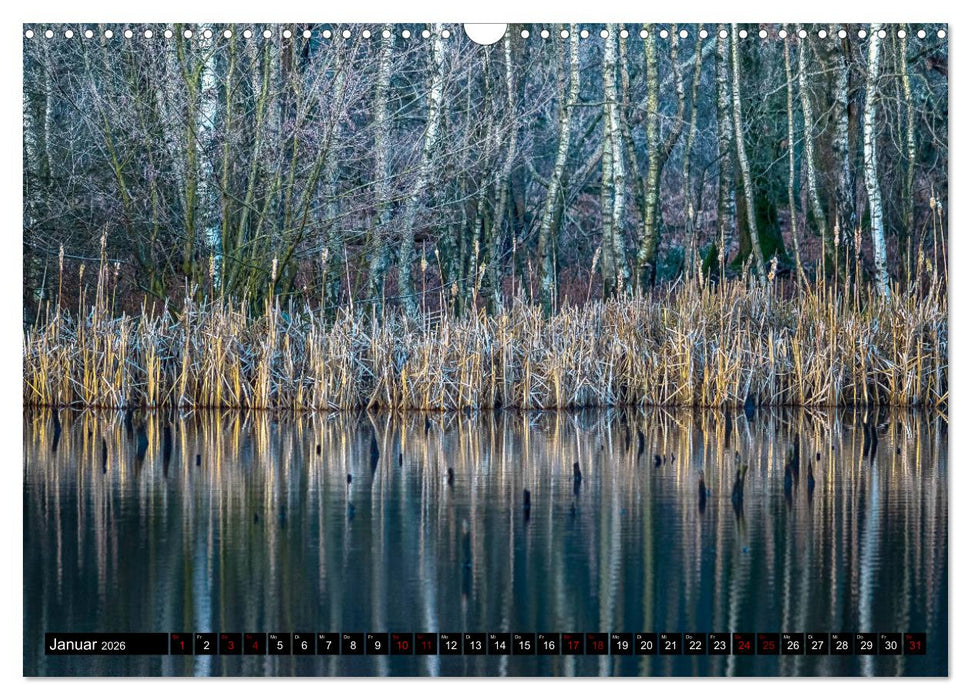 Bottrops schöne Flecken (CALVENDO Wandkalender 2026)