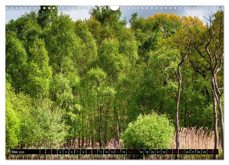 Bottrops schöne Flecken (CALVENDO Wandkalender 2026)