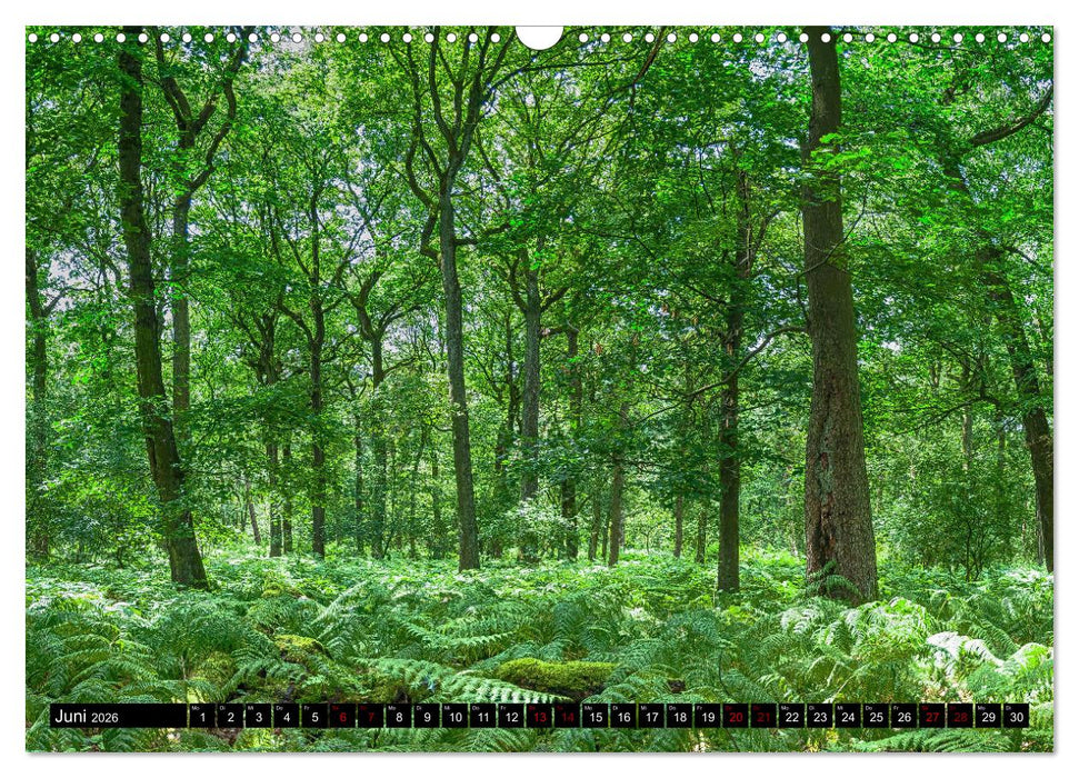 Bottrops schöne Flecken (CALVENDO Wandkalender 2026)