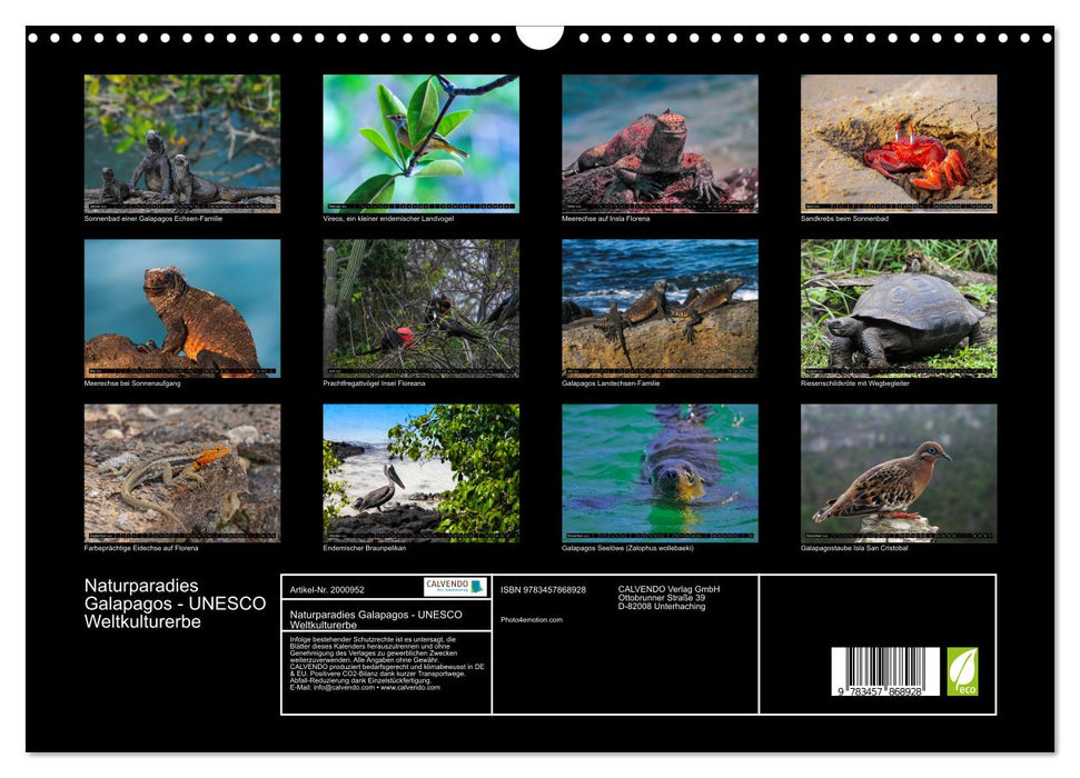 Naturparadies Galapagos - UNESCO Weltkulturerbe (CALVENDO Wandkalender 2026)