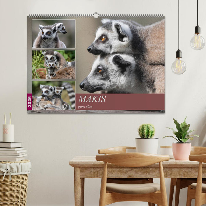 Makis ganz süss (CALVENDO Wandkalender 2026)