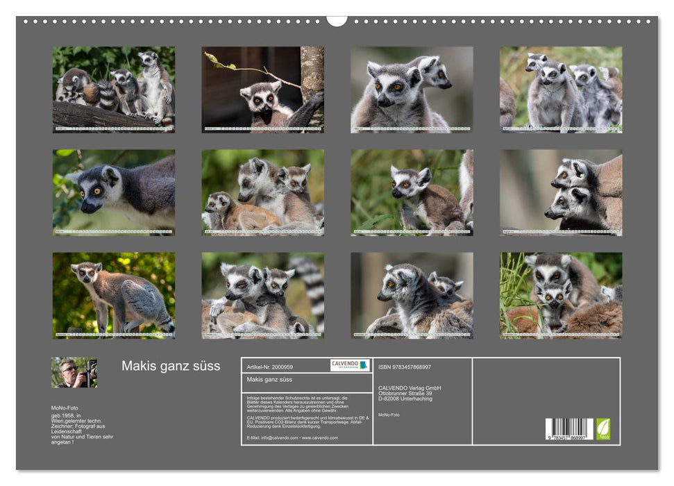 Makis ganz süss (CALVENDO Wandkalender 2026)