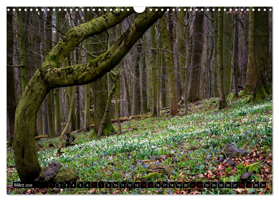 Die Rhön (CALVENDO Wandkalender 2026)