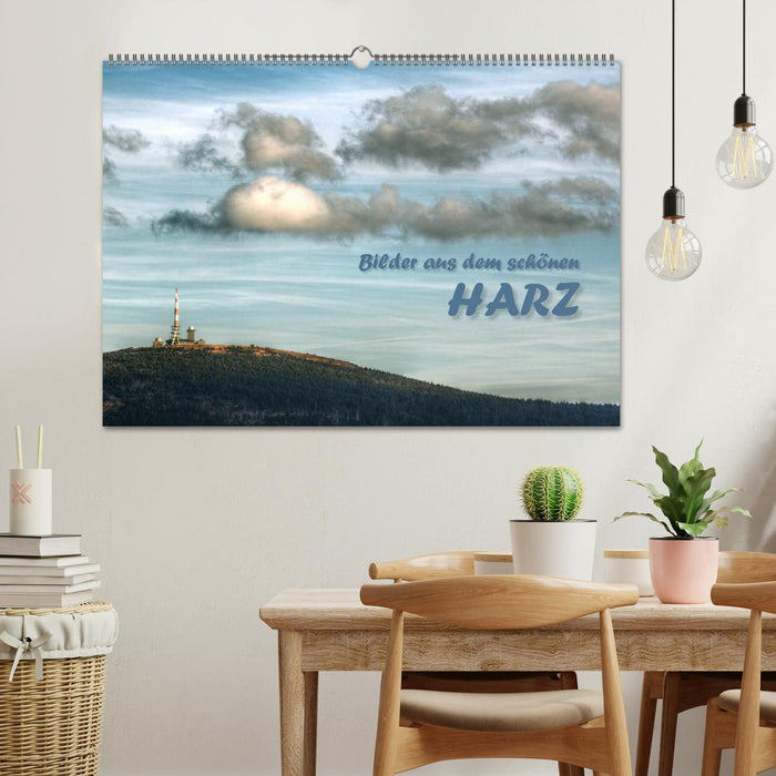 Bilder aus dem schönen Harz (CALVENDO Wandkalender 2026)