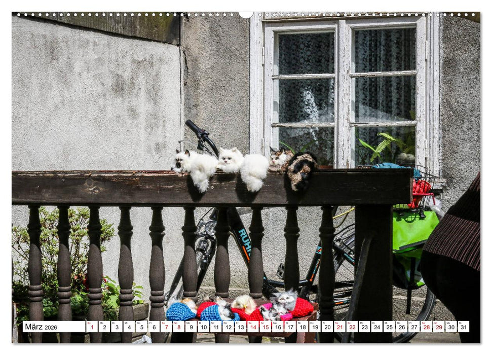 Danzig - Gdansk (CALVENDO Wandkalender 2026)