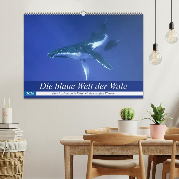 Die blaue Welt der Wale (CALVENDO Wandkalender 2026)