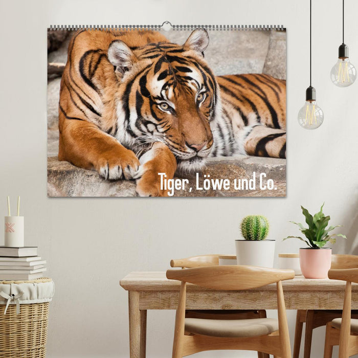 Tiger, Löwe und Co. (CALVENDO Wandkalender 2026)