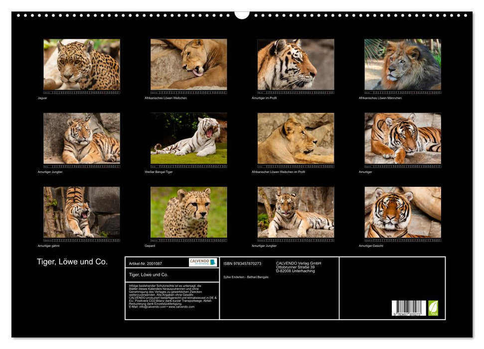 Tiger, Löwe und Co. (CALVENDO Wandkalender 2026)