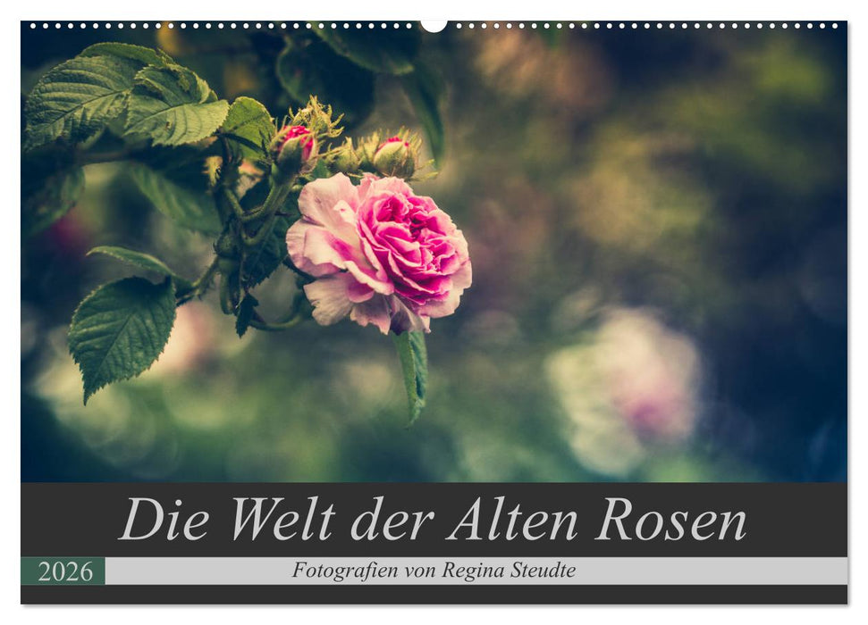 Die Welt der Alten Rosen (CALVENDO Wandkalender 2026)
