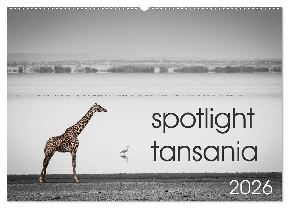 spotlight tansania (CALVENDO Wandkalender 2026)