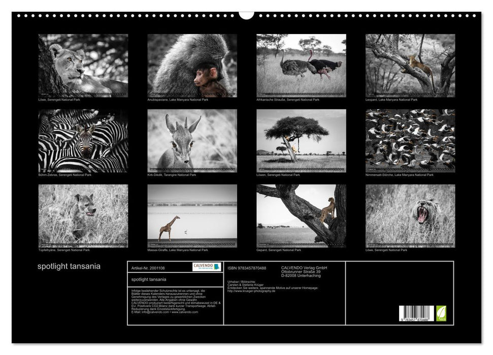 spotlight tansania (CALVENDO Wandkalender 2026)