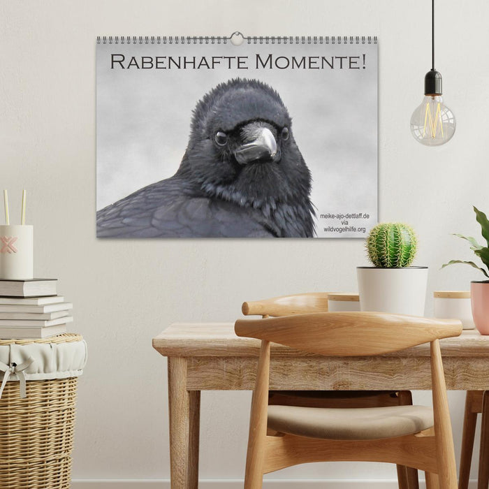 Rabenhafte Momente! (CALVENDO Wandkalender 2026)