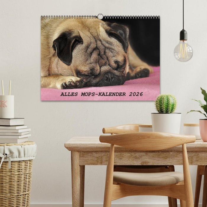 Alles Mops-Kalender 2026 (CALVENDO Wandkalender 2026)