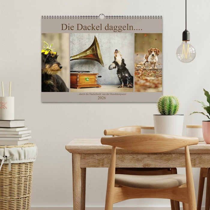 Die Dackel daggeln.... (CALVENDO Wandkalender 2026)