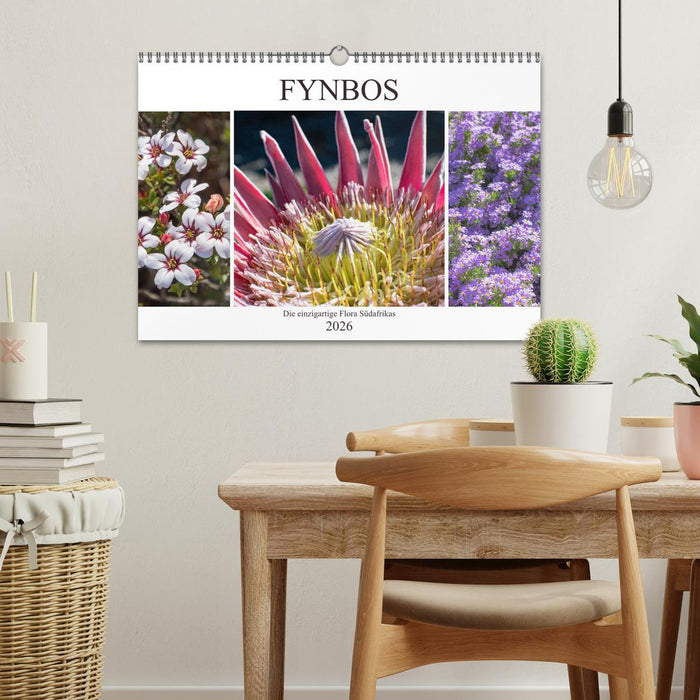 Fynbos - Die einzigartige Flora Südafrikas (CALVENDO Wandkalender 2026)