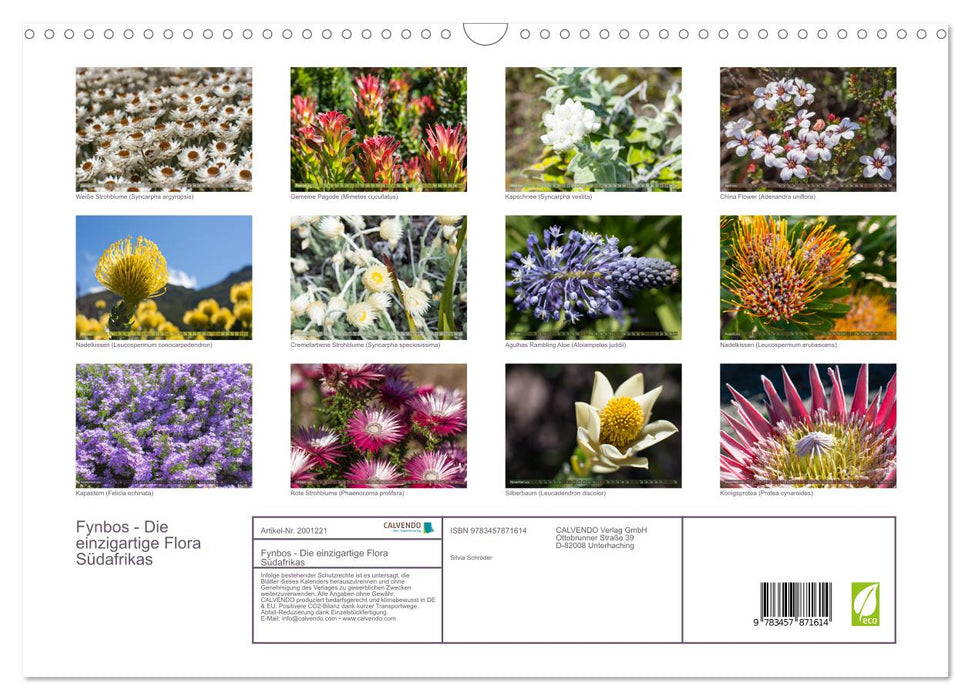 Fynbos - Die einzigartige Flora Südafrikas (CALVENDO Wandkalender 2026)
