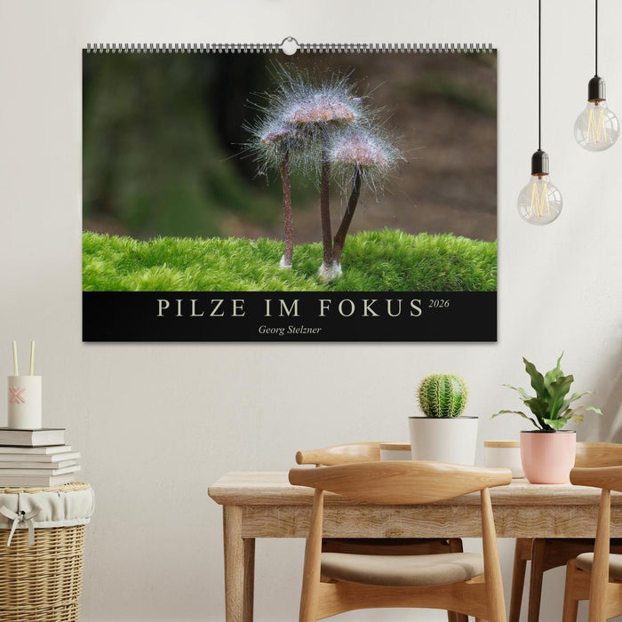 PILZE IM FOKUS 2026 (CALVENDO Wandkalender 2026)